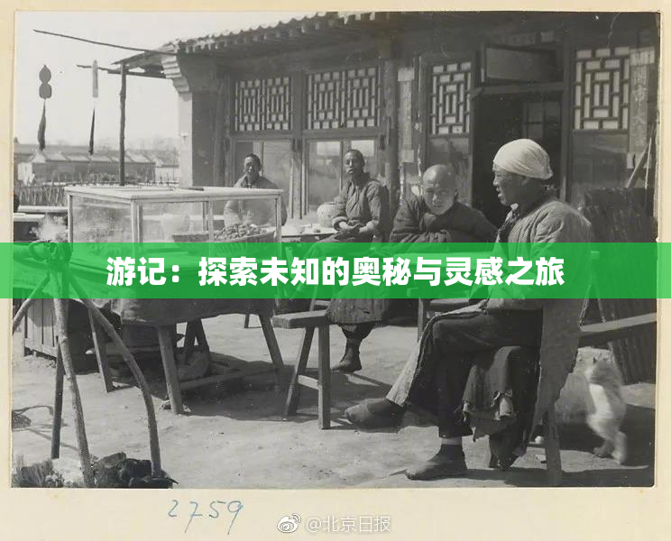 游记：探索未知的奥秘与灵感之旅