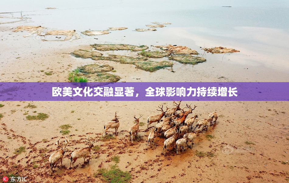 欧美文化交融显著，全球影响力持续增长