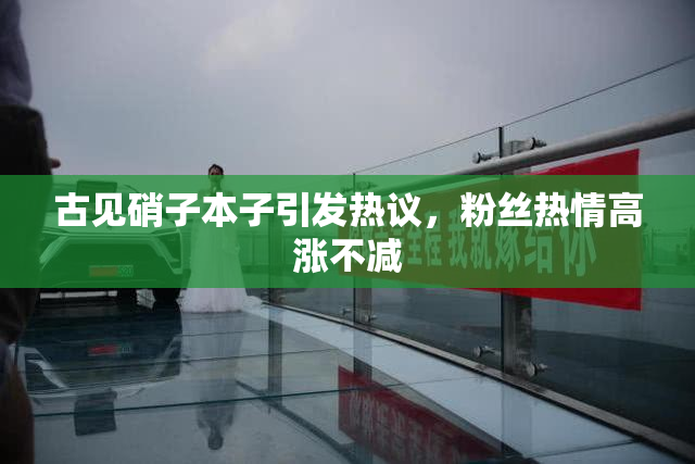 古见硝子本子引发热议，粉丝热情高涨不减