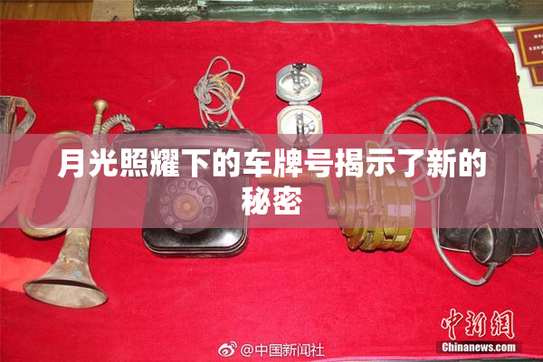 月光照耀下的车牌号揭示了新的秘密