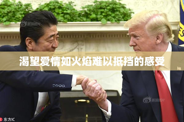渴望爱情如火焰难以抵挡的感受
