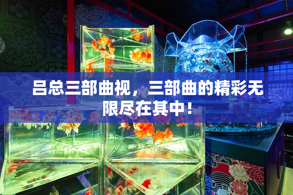 吕总三部曲视，三部曲的精彩无限尽在其中！