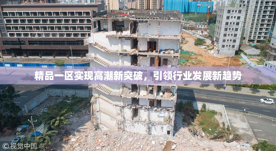 精品一区实现高潮新突破，引领行业发展新趋势