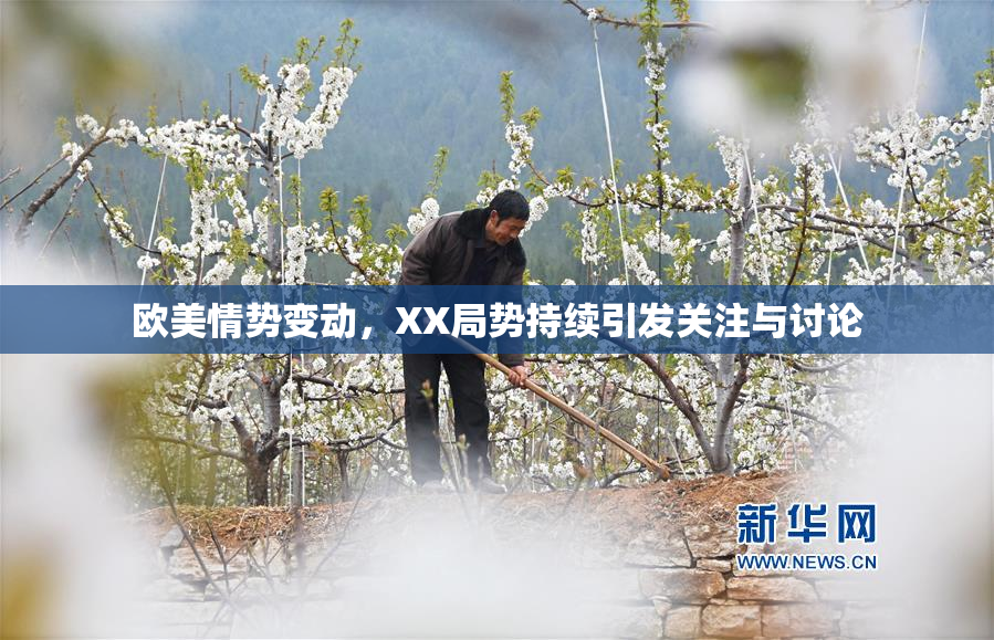 欧美情势变动，XX局势持续引发关注与讨论