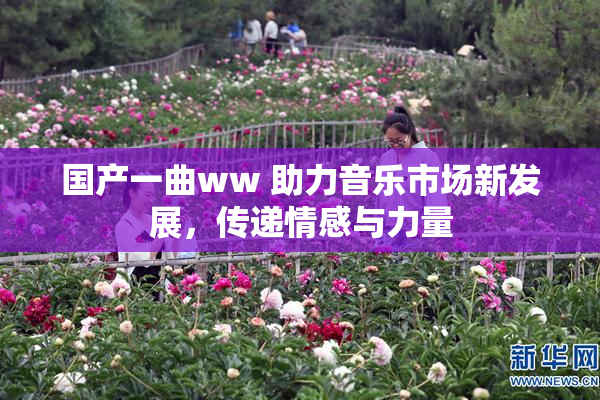 国产一曲ww 助力音乐市场新发展，传递情感与力量