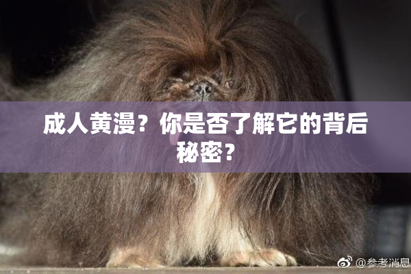成人黄漫？你是否了解它的背后秘密？