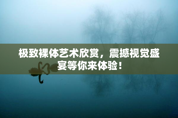 极致裸体艺术欣赏，震撼视觉盛宴等你来体验！