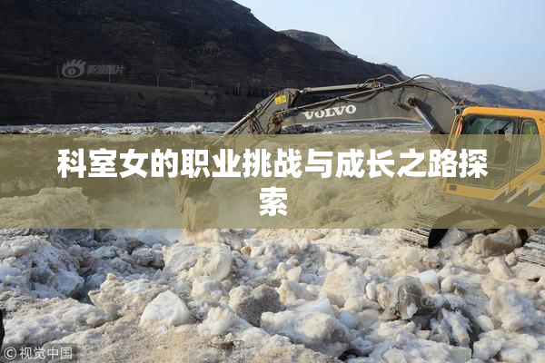 科室女的职业挑战与成长之路探索