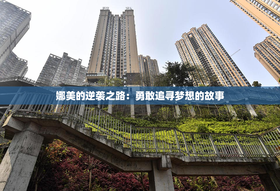 娜美的逆袭之路：勇敢追寻梦想的故事