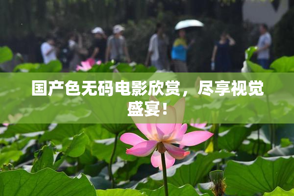 国产色无码电影欣赏，尽享视觉盛宴！
