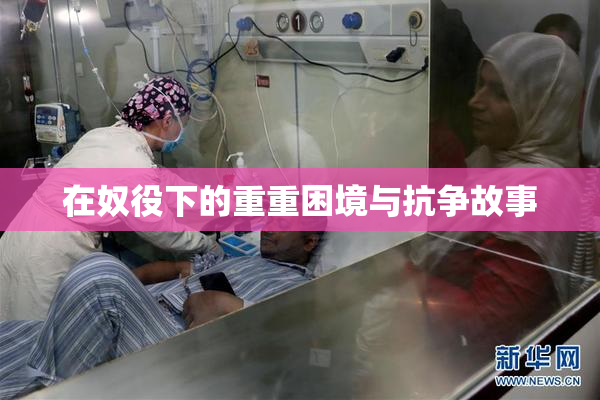 在奴役下的重重困境与抗争故事