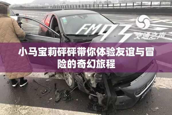 小马宝莉砰砰带你体验友谊与冒险的奇幻旅程