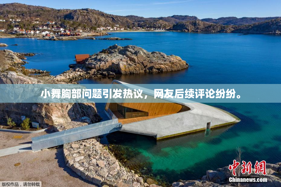 小舞胸部问题引发热议，网友后续评论纷纷。