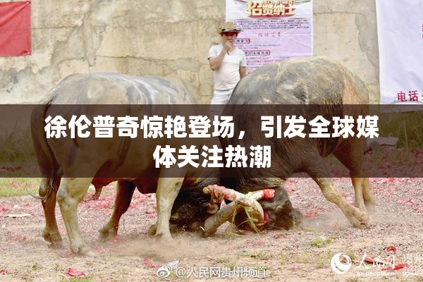 徐伦普奇惊艳登场，引发全球媒体关注热潮