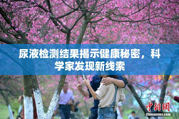 尿液检测结果揭示健康秘密，科学家发现新线索