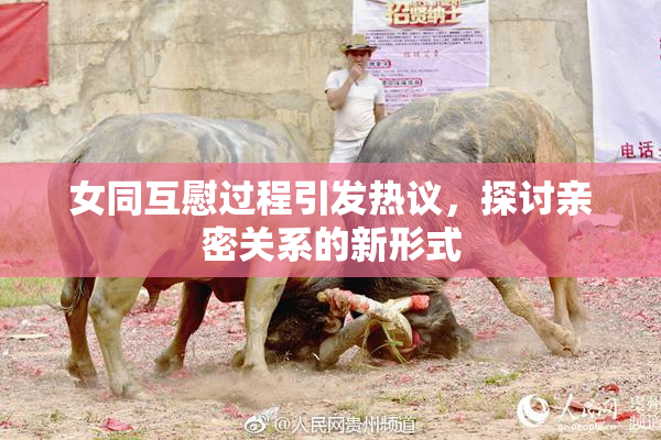 女同互慰过程引发热议，探讨亲密关系的新形式