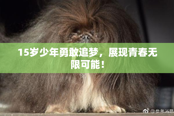 15岁少年勇敢追梦，展现青春无限可能！
