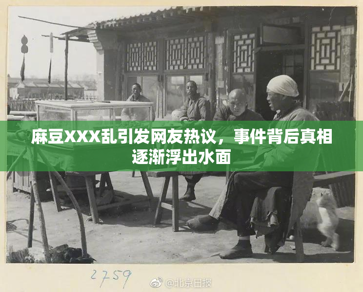 麻豆XXX乱引发网友热议，事件背后真相逐渐浮出水面