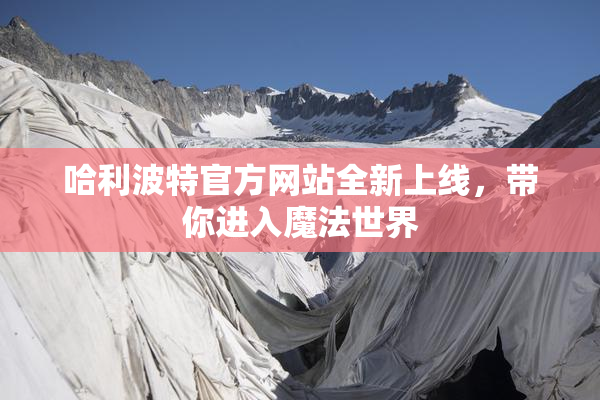 哈利波特官方网站全新上线，带你进入魔法世界
