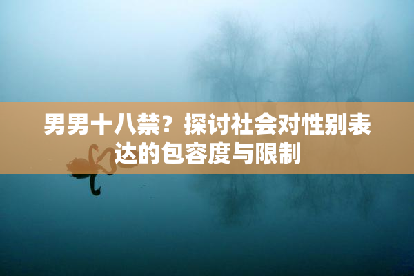 男男十八禁？探讨社会对性别表达的包容度与限制