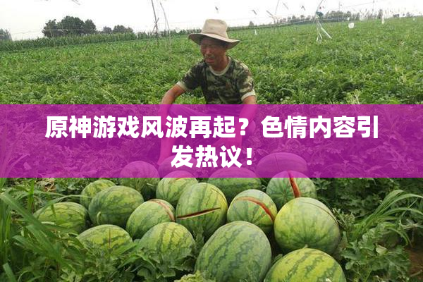 原神游戏风波再起？色情内容引发热议！