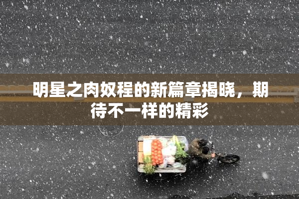 明星之肉奴程的新篇章揭晓，期待不一样的精彩