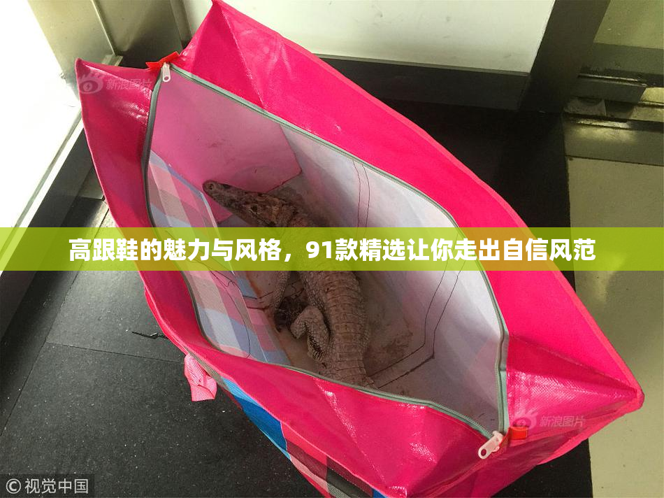 高跟鞋的魅力与风格，91款精选让你走出自信风范