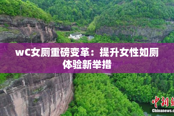 wC女厕重磅变革：提升女性如厕体验新举措