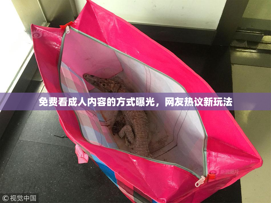 免费看成人内容的方式曝光，网友热议新玩法