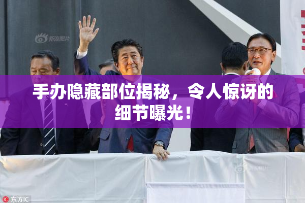 手办隐藏部位揭秘，令人惊讶的细节曝光！