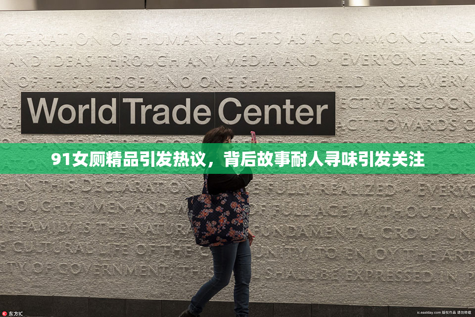 91女厕精品引发热议，背后故事耐人寻味引发关注