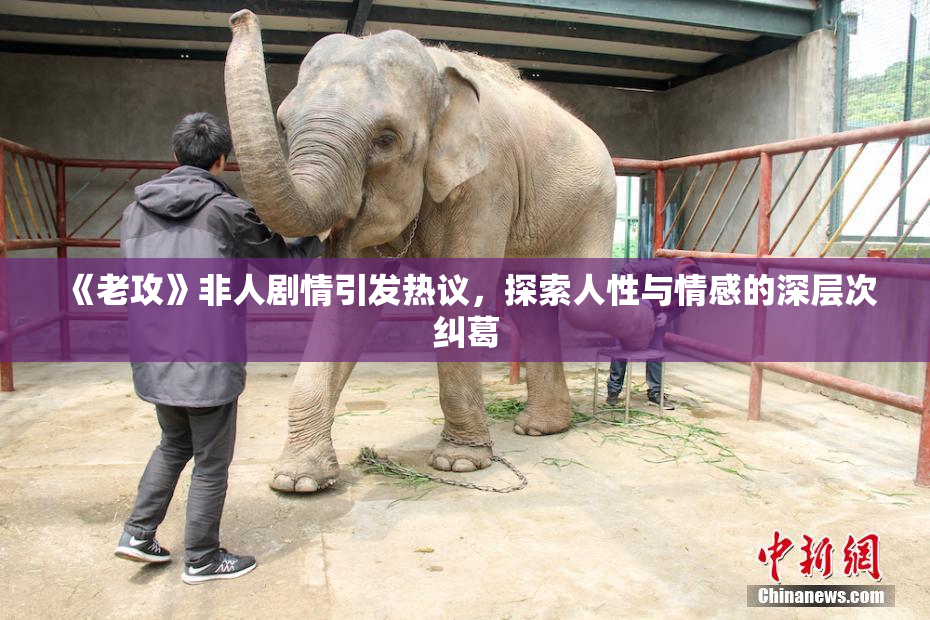 《老攻》非人剧情引发热议，探索人性与情感的深层次纠葛