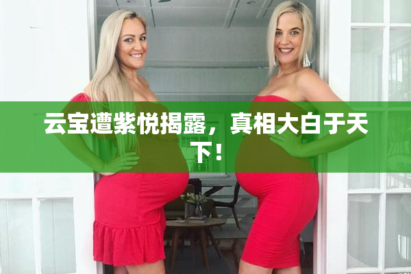 云宝遭紫悦揭露，真相大白于天下！