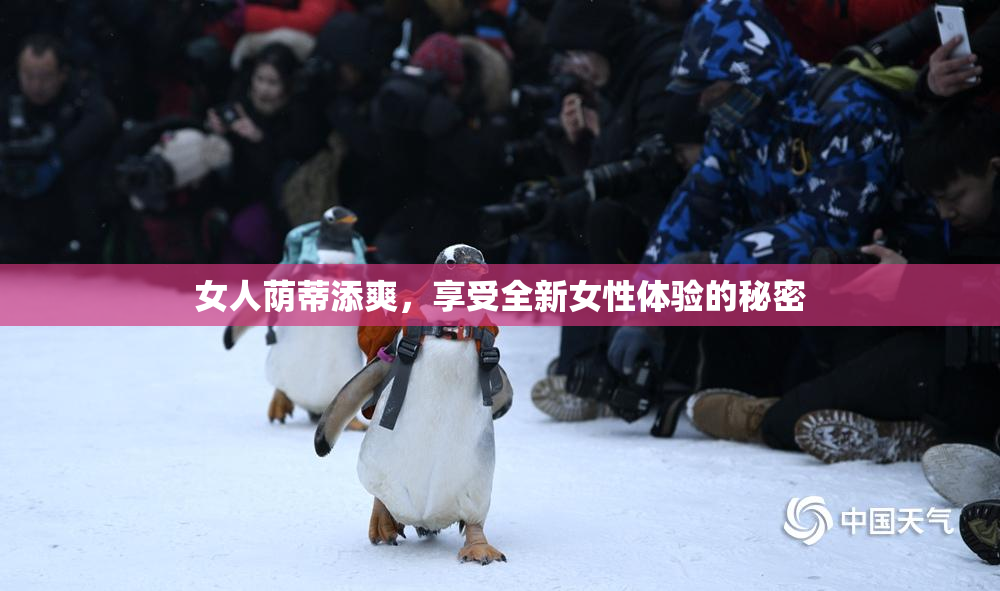 女人荫蒂添爽，享受全新女性体验的秘密