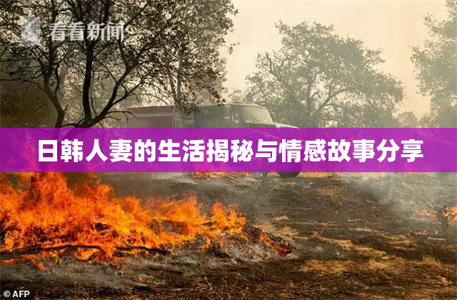 日韩人妻的生活揭秘与情感故事分享