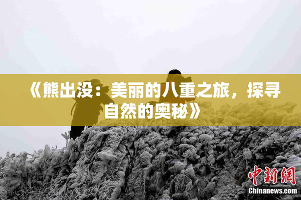《熊出没：美丽的八重之旅，探寻自然的奥秘》