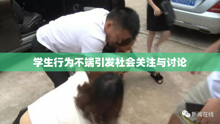 学生行为不端引发社会关注与讨论