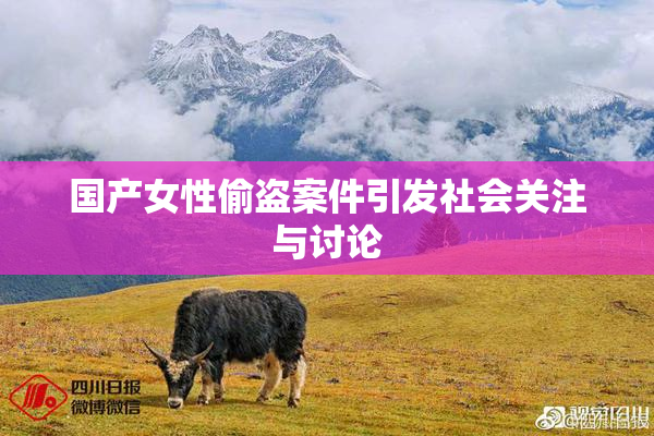 国产女性偷盗案件引发社会关注与讨论