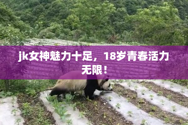 jk女神魅力十足，18岁青春活力无限！