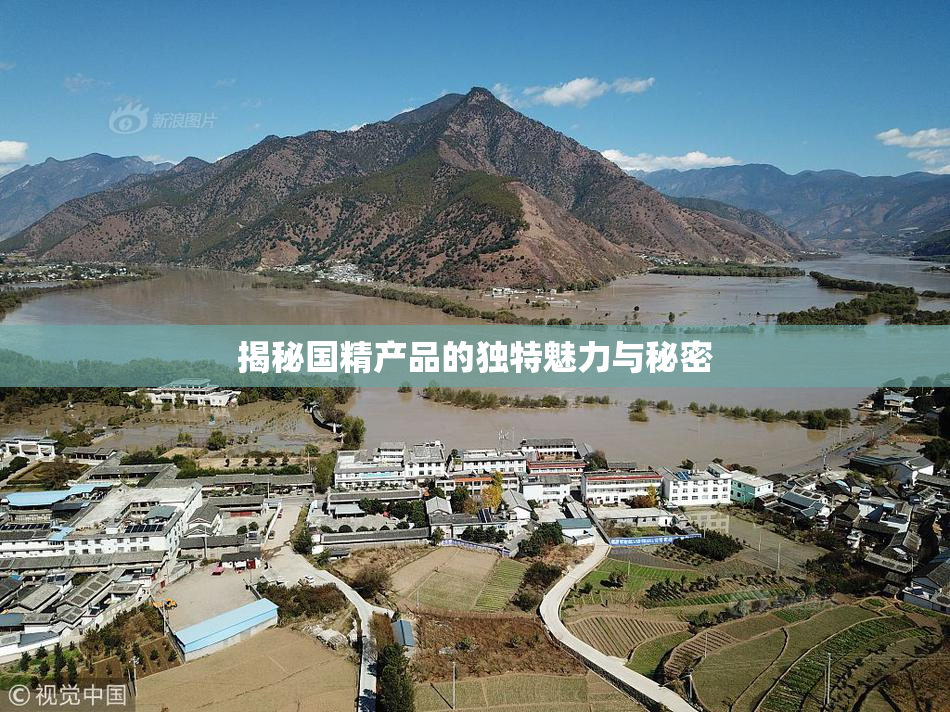 揭秘国精产品的独特魅力与秘密