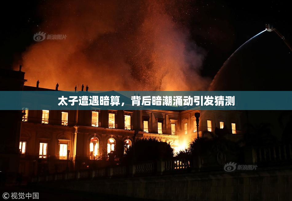 太子遭遇暗算，背后暗潮涌动引发猜测