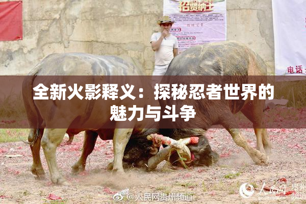全新火影释义：探秘忍者世界的魅力与斗争