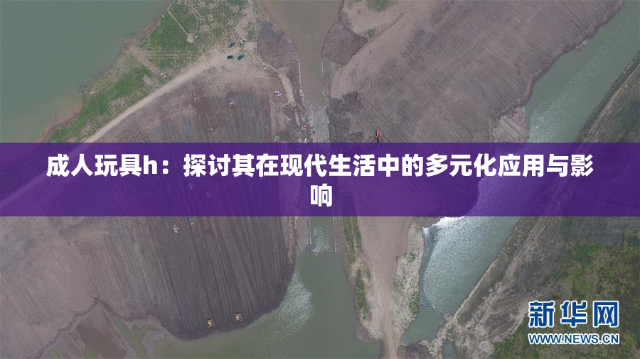 成人玩具h：探讨其在现代生活中的多元化应用与影响