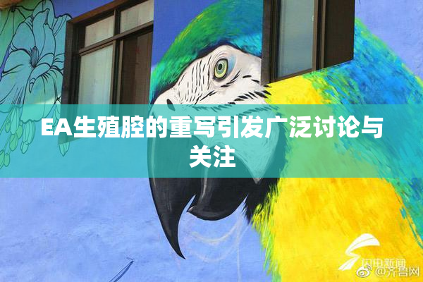 EA生殖腔的重写引发广泛讨论与关注