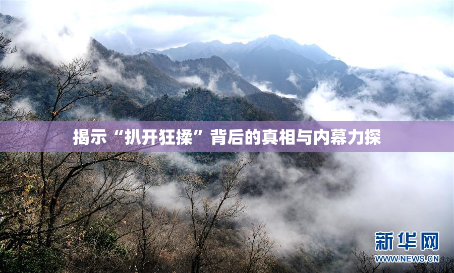 揭示“扒开狂揉”背后的真相与内幕力探