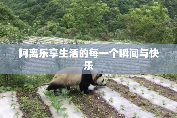 阿离乐享生活的每一个瞬间与快乐