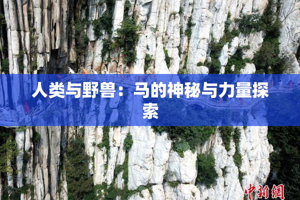 人类与野兽：马的神秘与力量探索