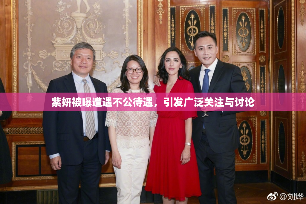 紫妍被曝遭遇不公待遇，引发广泛关注与讨论