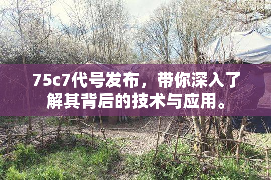 75c7代号发布，带你深入了解其背后的技术与应用。