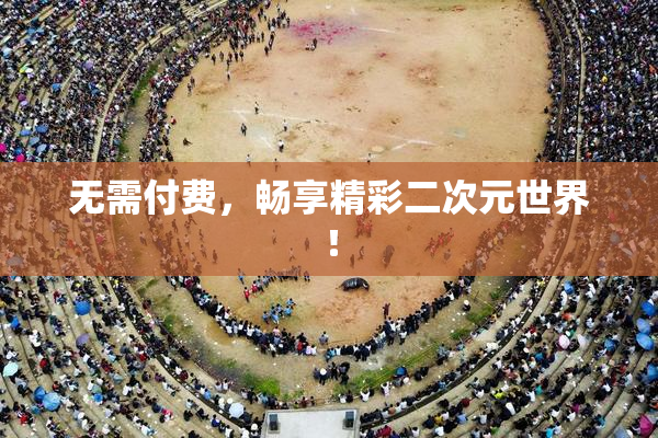 无需付费，畅享精彩二次元世界！